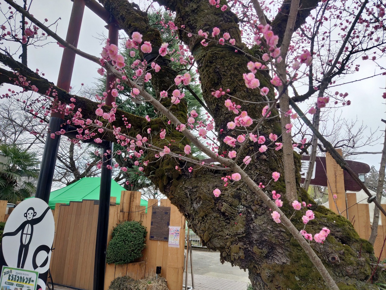 3月イベント情報1