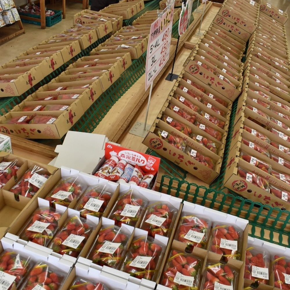 JAみなみ信州 農産物直売所およりてふぁーむ